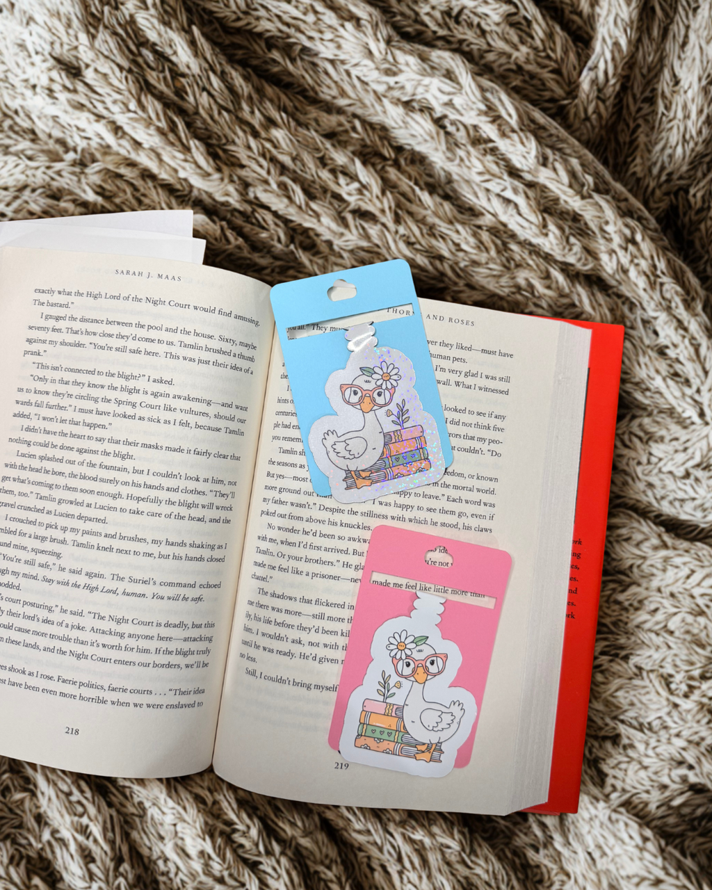 Silly Goose Magnetic Bookmark
